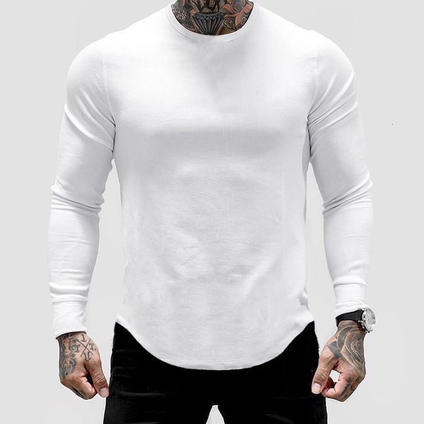 men's t-shirts men's sweater long sleeve t-shirt solid color fitness autumn spring leisure sweatshirt 230403, White;black
men's t-shirts men's sweater long sleeve t-shirt solid color fitness autumn spring leisure sweatshirt 230403, White;black