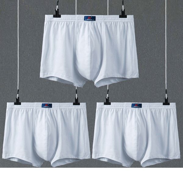 underpants 3 pieces/batch wedding pos men's underwear cotton boxing shoes white light gray healthy fabric cotton boxing underwear men&#, Black;white
underpants 3 pieces/batch wedding pos men's underwear cotton boxing shoes white light gray healthy fabric cotton boxing underwear men&#, Black;white