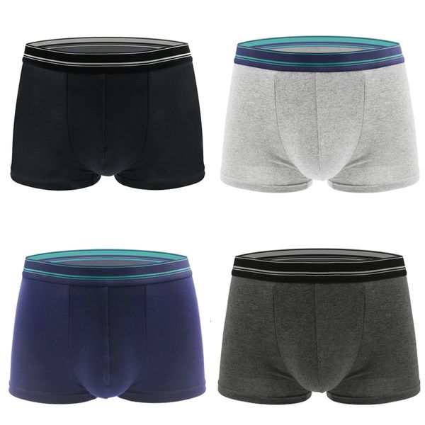 underpants men's boxing cotton men's underwear shorts breathable shorts men's underwear men's underwear 230404, Black;white
underpants men's boxing cotton men's underwear shorts breathable shorts men's underwear men's underwear 230404, Black;white