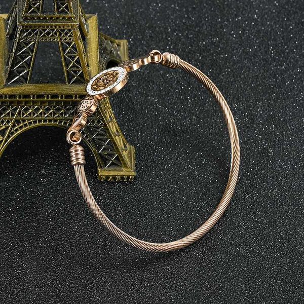 bangle new jewelry stainless steel ship rudder cable rope bracelet titanium steel opening diamond bracelet 7hmt, Black
bangle new jewelry stainless steel ship rudder cable rope bracelet titanium steel opening diamond bracelet 7hmt, Black