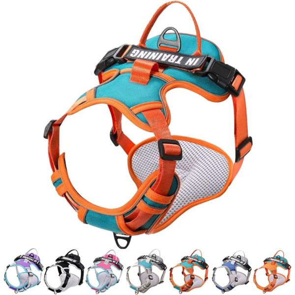 No Pull Dog Harness, Reflective Dog Vest Harness with Front Back 2 Leash Clips, Oxford Pet Harness Adjustable Soft Padded Dog Vest with Easy Control Handle for Dogs
No Pull Dog Harness, Reflective Dog Vest Harness with Front Back 2 Leash Clips, Oxford Pet Harness Adjustable Soft Padded Dog Vest with Easy Control Handle for Dogs