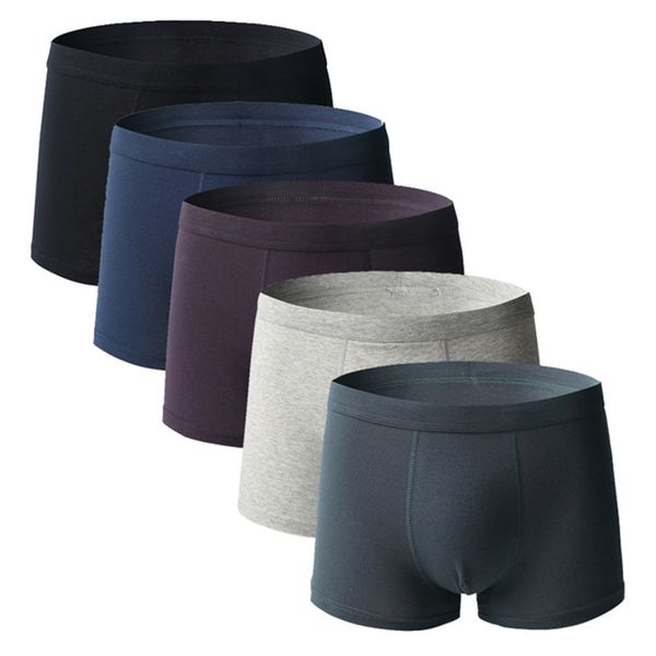 underpants 5 large size boxing underwear shorts men's underwear men's underwear cotton men's underwear knitted underwear 4xl, Black;white
underpants 5 large size boxing underwear shorts men's underwear men's underwear cotton men's underwear knitted underwear 4xl, Black;white