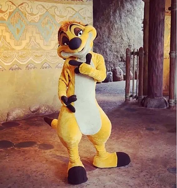 mascot costume the lion king timon mascot costumes cartoon character outfit suit xmas outdoor party outfit size, Red;yellow
mascot costume the lion king timon mascot costumes cartoon character outfit suit xmas outdoor party outfit size, Red;yellow
