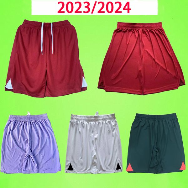 the reds soccer shorts 2022 2023 2024 alexander-arnold henderson football pants fabinho milner robertson diogo 22 23 24 mens home away third, Black;red
the reds soccer shorts 2022 2023 2024 alexander-arnold henderson football pants fabinho milner robertson diogo 22 23 24 mens home away third, Black;red