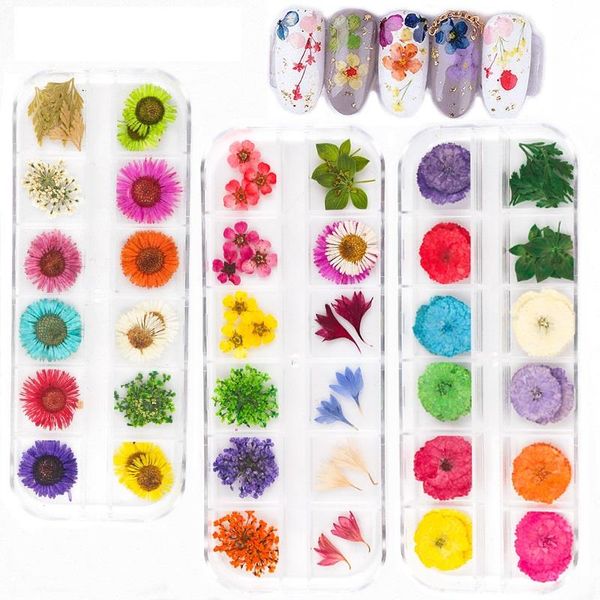 dried flowers nail art kit dry mini real natural flowers supplies 3d applique nail decoration sticker for tips manicure decor, Black
dried flowers nail art kit dry mini real natural flowers supplies 3d applique nail decoration sticker for tips manicure decor, Black