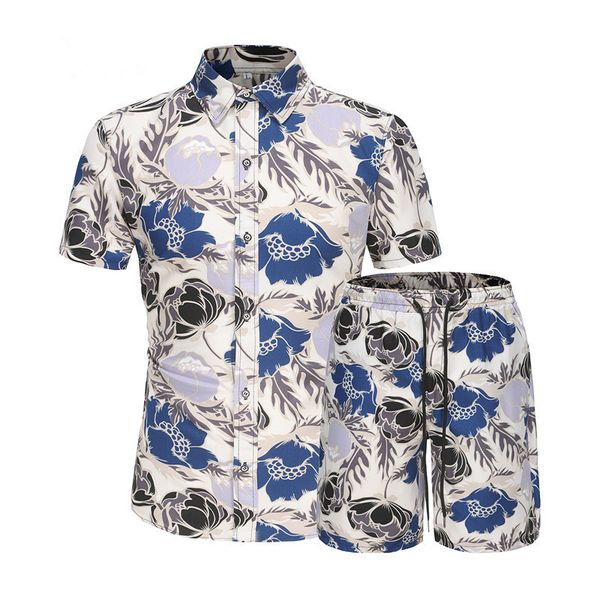 men's tracksuits 2023 summer t shirt with shorts set sports beach print flowers leisure fashion short sleeve 230411, Gray
men's tracksuits 2023 summer t shirt with shorts set sports beach print flowers leisure fashion short sleeve 230411, Gray