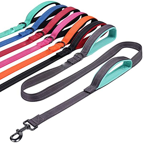 Dog Training Leash with Double Padded Handle, Heavy Duty 4-6ft Long Nylon Reflective Safety Traffic Handle Leash Walking Lead for Dogs
Dog Training Leash with Double Padded Handle, Heavy Duty 4-6ft Long Nylon Reflective Safety Traffic Handle Leash Walking Lead for Dogs