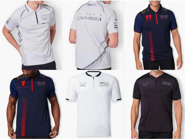 2023 new formula 1 racing polo shirt short-sleeved shirt with the same custom
2023 new formula 1 racing polo shirt short-sleeved shirt with the same custom