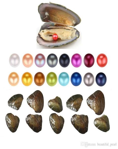 whole 2020 new product single big round pearls 68mm natural pearl in oysters freshwater oyster shell diy jewelry for women pa3961005, White
whole 2020 new product single big round pearls 68mm natural pearl in oysters freshwater oyster shell diy jewelry for women pa3961005, White