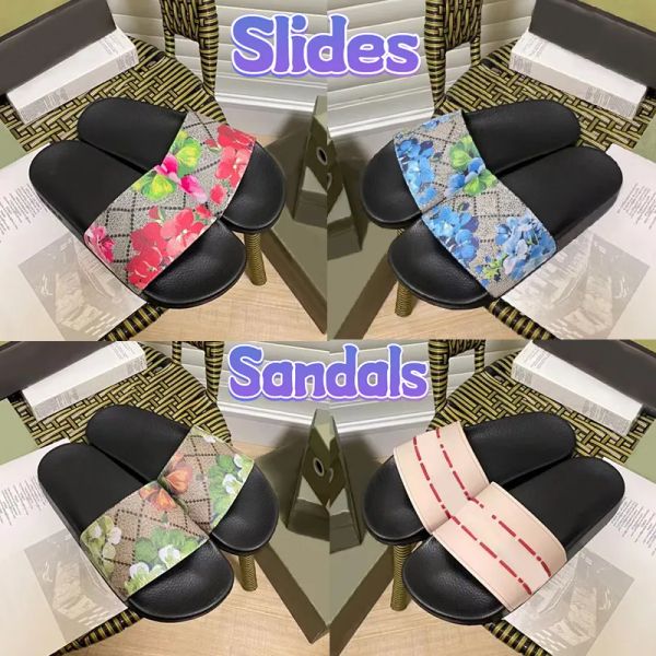with box mens slippers platform designer rubber slides womens flats sandals luxurys floral canvas blue flowers beach slipper flip flops lks, Black
with box mens slippers platform designer rubber slides womens flats sandals luxurys floral canvas blue flowers beach slipper flip flops lks, Black