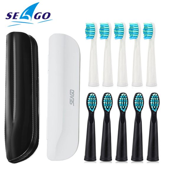 toothbrushes head seago electric toothbrush heads dupont bristle replacement brush heads suitable for seago toothbrush accessories 230413
toothbrushes head seago electric toothbrush heads dupont bristle replacement brush heads suitable for seago toothbrush accessories 230413