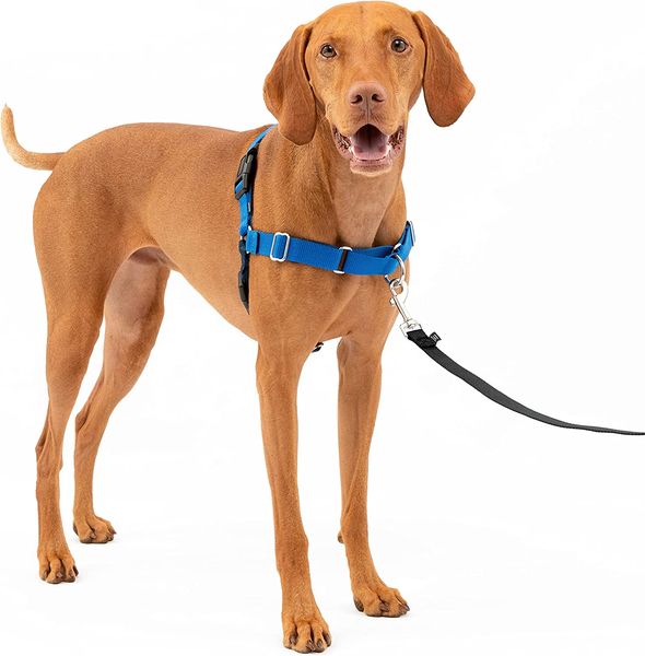 Easy Walk No-Pull Dog Harness - The Ultimate Harness to Help Stop Pulling - Take Control & Teach Better Leash Manners - Helps Prevent Pets Pulling on Walks
Easy Walk No-Pull Dog Harness - The Ultimate Harness to Help Stop Pulling - Take Control & Teach Better Leash Manners - Helps Prevent Pets Pulling on Walks