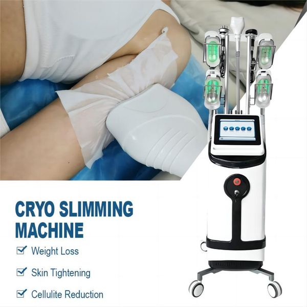 cryo 360° cryolipolysis fat ing cool sculpt body slimming machine 5 handles double chin removal vaccum rf cavitation machine lipo laser weig
cryo 360° cryolipolysis fat ing cool sculpt body slimming machine 5 handles double chin removal vaccum rf cavitation machine lipo laser weig