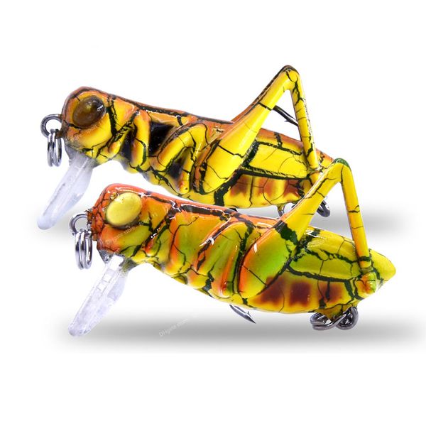bionic fishing lure 3g 3.5cm grasshopper minnow hard bait insect ater crankbait bass fishing tackle fishingfishing lures ater fishing lure i
bionic fishing lure 3g 3.5cm grasshopper minnow hard bait insect ater crankbait bass fishing tackle fishingfishing lures ater fishing lure i