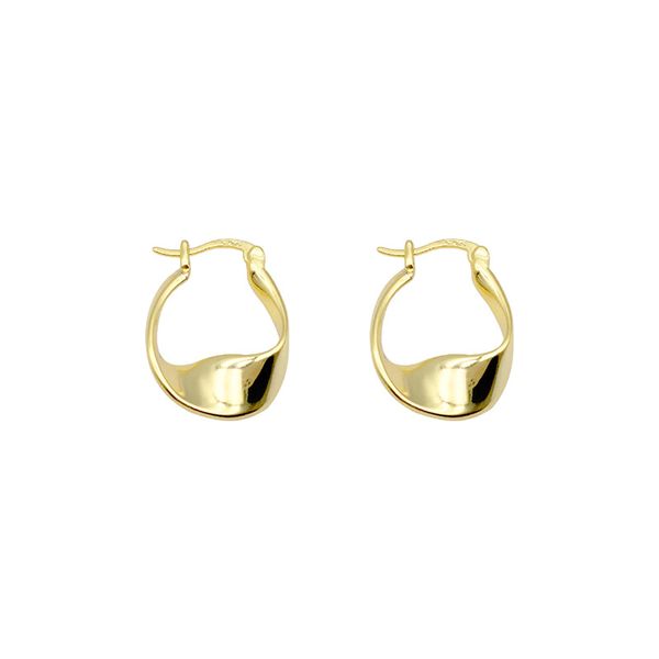 punk gold plated chunky irregular hammered hoop dangle earrings for women minimalist geometric twisted polished ear ring huggie hoops, Silver
punk gold plated chunky irregular hammered hoop dangle earrings for women minimalist geometric twisted polished ear ring huggie hoops, Silver