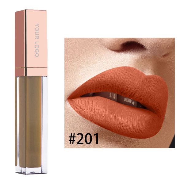 private label lip gloss custom logo -- matte liquid lipstick 80 colors accept dropshipping 201#-220#
private label lip gloss custom logo -- matte liquid lipstick 80 colors accept dropshipping 201#-220#