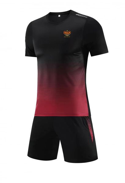 fk dukla prague football club men's tracksuits summer soccer short sleeve suit training suit outdoor running t-shirt fan version of sho, Gray
fk dukla prague football club men's tracksuits summer soccer short sleeve suit training suit outdoor running t-shirt fan version of sho, Gray