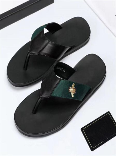2021 fashion black soft leather sandals mules bees summers slide slippery flat chain sandals wide tbar casual beach slip sandals 3392144
2021 fashion black soft leather sandals mules bees summers slide slippery flat chain sandals wide tbar casual beach slip sandals 3392144