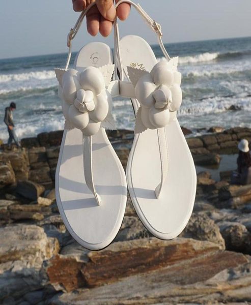 flat sandal woman boho camellia flower flat heel pinchedtoe beach resort with one strappy sandal size 34426764397, Black
flat sandal woman boho camellia flower flat heel pinchedtoe beach resort with one strappy sandal size 34426764397, Black
