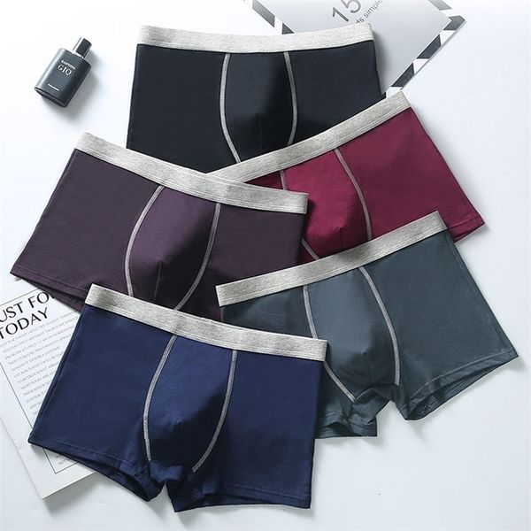 underpants 5pcs/lot 6xl men underwear boxer homme boxershorts men underpants boxer shorts men panties breathable boxer homme cotton comfort, Black;white
underpants 5pcs/lot 6xl men underwear boxer homme boxershorts men underpants boxer shorts men panties breathable boxer homme cotton comfort, Black;white