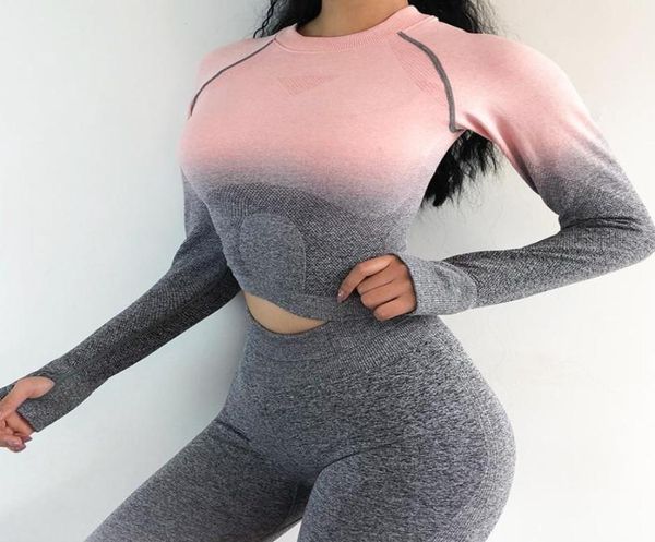 women yoga set gym clothing seamless gradient leggings long sleeve workout sport suit women fitness set active wear9783901, White;red
women yoga set gym clothing seamless gradient leggings long sleeve workout sport suit women fitness set active wear9783901, White;red