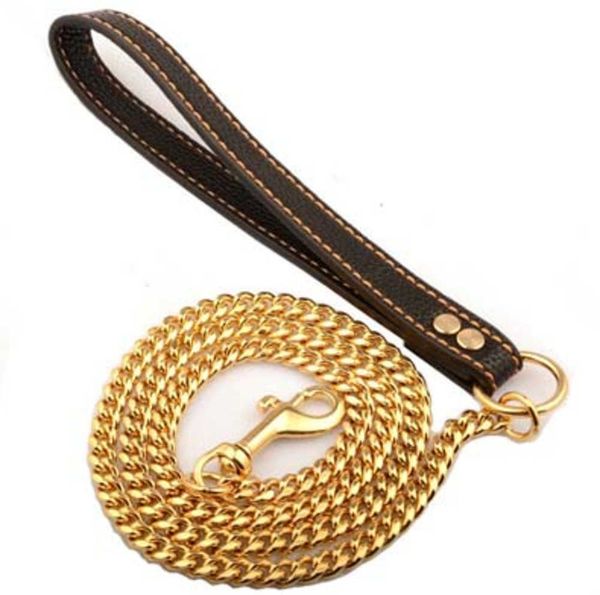 accessories stainless steel pet gold chain dog leashes leather handle portable leash rope straps puppy cat training slip collar motion curre, Silver
accessories stainless steel pet gold chain dog leashes leather handle portable leash rope straps puppy cat training slip collar motion curre, Silver