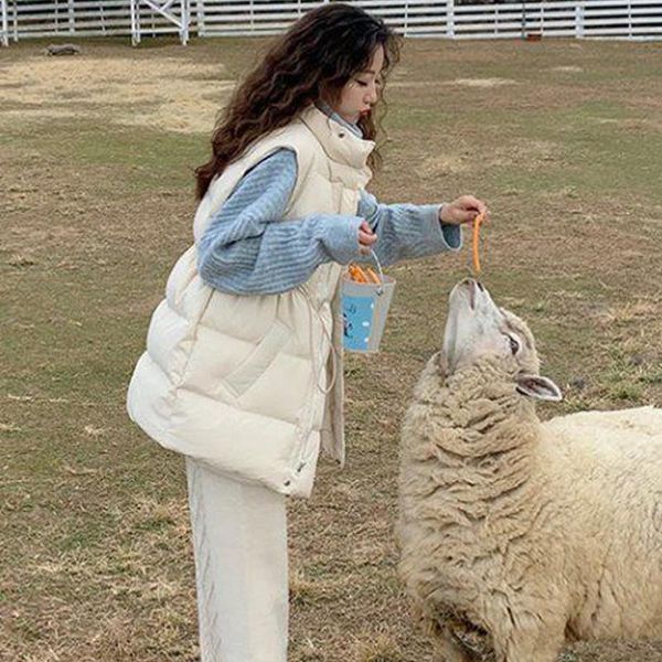 vests fashion sleeveless female winter waistcoat outer down clothing cotton vest autumn winter solid loose down cotton horse jacket, Black;white
vests fashion sleeveless female winter waistcoat outer down clothing cotton vest autumn winter solid loose down cotton horse jacket, Black;white