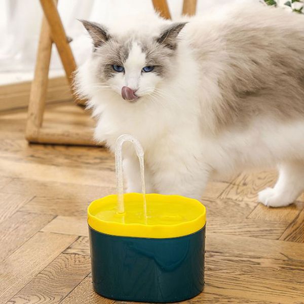 Cat Water Fountain, 2L Automatic Pet Fountain Dog Water Dispenser, Ultra-Quiet Pump for Cats, Dogs, Multiple Pets
Cat Water Fountain, 2L Automatic Pet Fountain Dog Water Dispenser, Ultra-Quiet Pump for Cats, Dogs, Multiple Pets