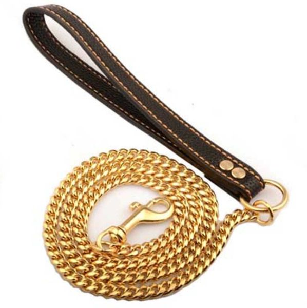 accessories stainless steel pet gold chain dog leashes leather handle portable leash rope straps puppy cat training slip collar supplies mot, Silver
accessories stainless steel pet gold chain dog leashes leather handle portable leash rope straps puppy cat training slip collar supplies mot, Silver