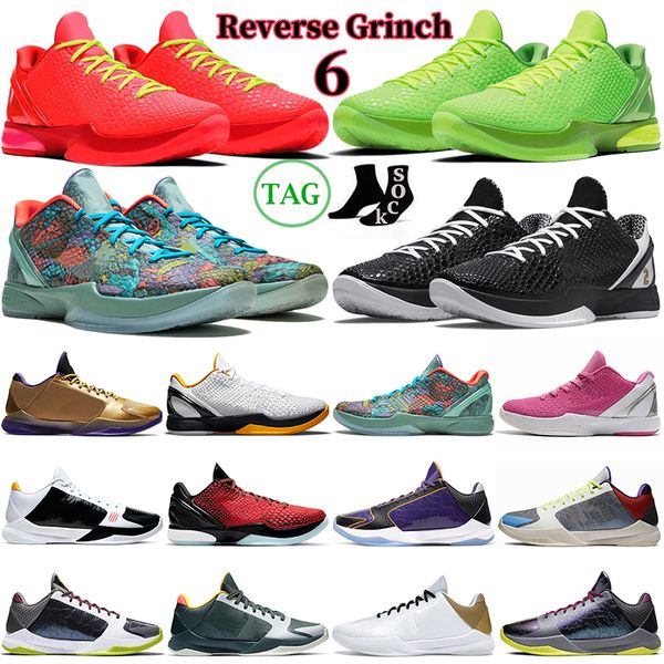 reverse grinch mamba basketball shoes men chaos prelude 6 protros del sol white 5 protro dark knight mens outdoor sport trainers sneakers la, White;red
reverse grinch mamba basketball shoes men chaos prelude 6 protros del sol white 5 protro dark knight mens outdoor sport trainers sneakers la, White;red