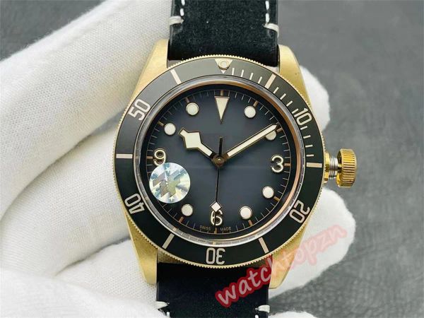 zf factory watch 43mm m79250ba-0001v3 upgrade edition with seagull 2824 automatic chain movement bronze case sapphire mirror men's watc, Slivery;brown
zf factory watch 43mm m79250ba-0001v3 upgrade edition with seagull 2824 automatic chain movement bronze case sapphire mirror men's watc, Slivery;brown