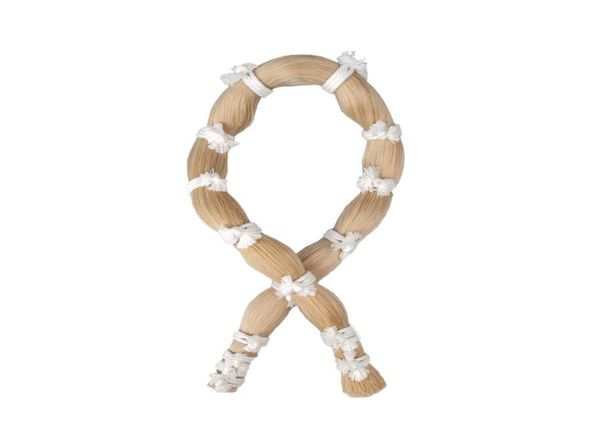 naomi 250g horse tail hair white violin bow parts horse hair for violin players bow hair new7736934
naomi 250g horse tail hair white violin bow parts horse hair for violin players bow hair new7736934