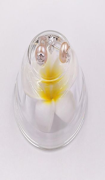 arrings silver bear earrings with pearl jewelry stud 925 fits european jewelry style gift 3111435704964754, Golden;silver
arrings silver bear earrings with pearl jewelry stud 925 fits european jewelry style gift 3111435704964754, Golden;silver