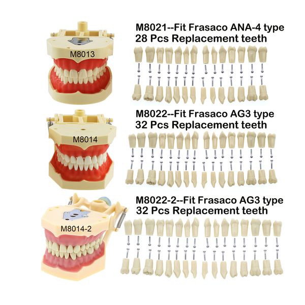 dental floss frasaco ana4 ag3 type fit typodont standard practice filling 28pcs 32pcs screwin teeth model implant restoration demo 230421
dental floss frasaco ana4 ag3 type fit typodont standard practice filling 28pcs 32pcs screwin teeth model implant restoration demo 230421