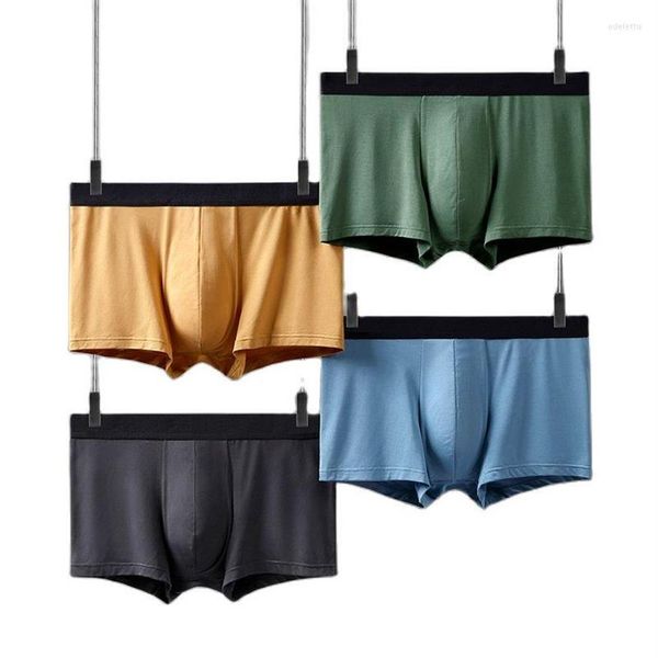 underpants 2022 men's boxer shorts modal male underwear large size soft panties boxers 3xl mens briefs180s, Black;white
underpants 2022 men's boxer shorts modal male underwear large size soft panties boxers 3xl mens briefs180s, Black;white