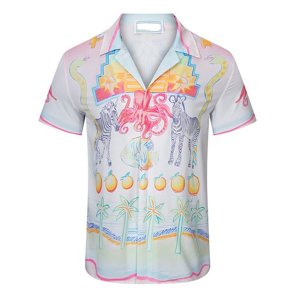 5 men designer shirts summer shoort sleeve casual shirts fashion loose polos beach style breathable tshirts tees clothing #928, White;black
5 men designer shirts summer shoort sleeve casual shirts fashion loose polos beach style breathable tshirts tees clothing #928, White;black