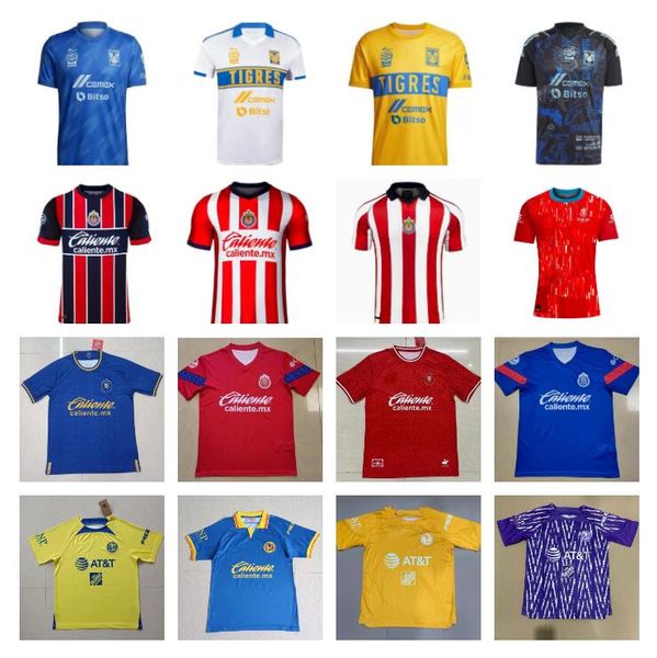 2023 2024 chivas de guadalajara soccer jerseys 23 24 america home away third special green alexis vega gignac tigres uanl earth day 22 23 24, Black;yellow
2023 2024 chivas de guadalajara soccer jerseys 23 24 america home away third special green alexis vega gignac tigres uanl earth day 22 23 24, Black;yellow