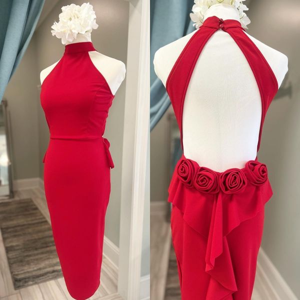 graduation midi dress 2k23 sheath hand-made rose lady cocktail pageant interview winter formal event party runway black-tie gala hoco brides, Red
graduation midi dress 2k23 sheath hand-made rose lady cocktail pageant interview winter formal event party runway black-tie gala hoco brides, Red