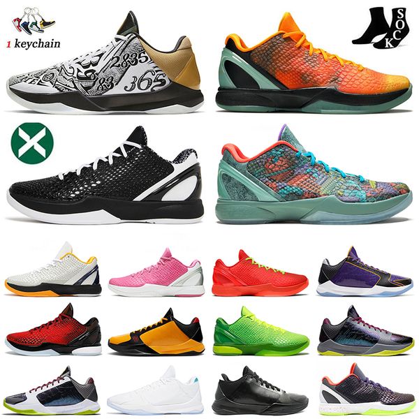 2023 basketball shoes kbes mamba zooms men protro 5 6 reverse grinch bruce lee what if lakers big stage chaos 5 rings metallic gold dhgates
2023 basketball shoes kbes mamba zooms men protro 5 6 reverse grinch bruce lee what if lakers big stage chaos 5 rings metallic gold dhgates