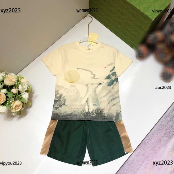 luxury designer summer tracksuits kids clothes child sets baby 2pcs cartoon rabbit pattern printed short sleeved and elastic waist pants, White
luxury designer summer tracksuits kids clothes child sets baby 2pcs cartoon rabbit pattern printed short sleeved and elastic waist pants, White