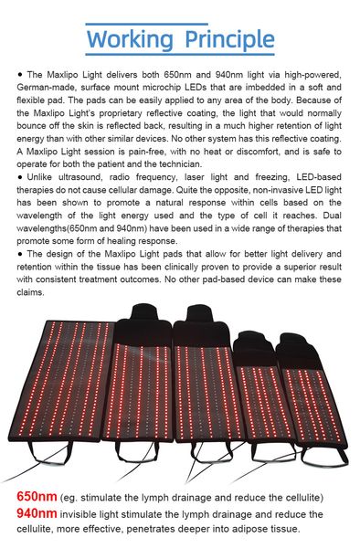 slimming low level laser therapy knee pain liposlim laserslim belt machines 5d for pain relief and fat loss treatment beauty price for sale
slimming low level laser therapy knee pain liposlim laserslim belt machines 5d for pain relief and fat loss treatment beauty price for sale