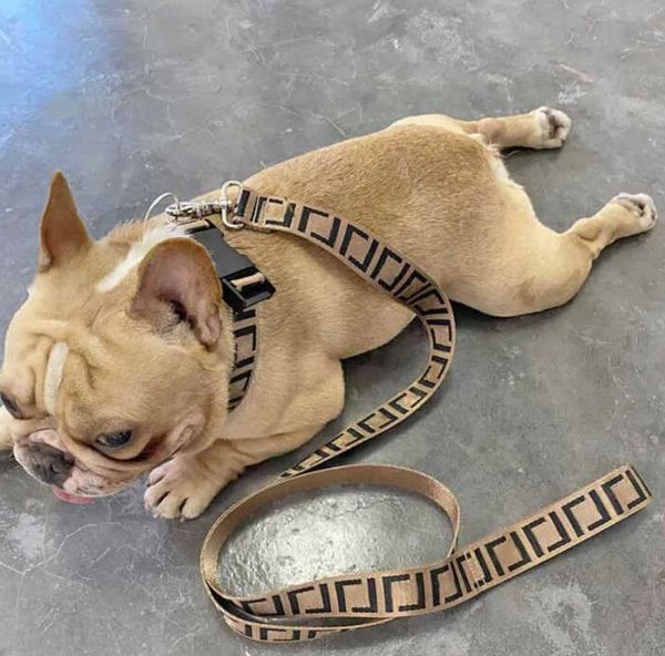 fashion accessories designer collars pet dog leash collar harness set luxury letter printed large medium small fighting schnauzer bulldog te, Silver
fashion accessories designer collars pet dog leash collar harness set luxury letter printed large medium small fighting schnauzer bulldog te, Silver
