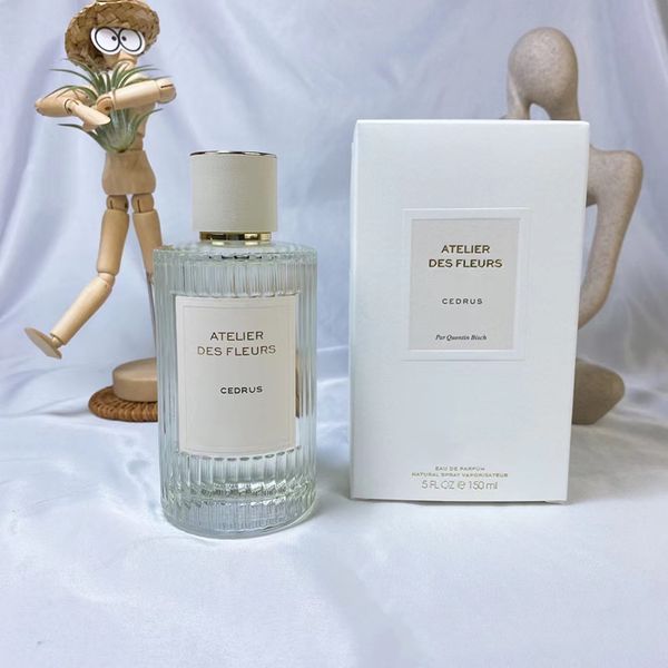 150ml regular size sweet perfume for women french perfume brands for women
150ml regular size sweet perfume for women french perfume brands for women