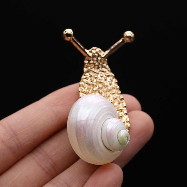 pins brooches conch enamel brooch pins fashion jewelry sea snail collar pins scarf sweater clip colorful brooches accessories w0426, Gray
pins brooches conch enamel brooch pins fashion jewelry sea snail collar pins scarf sweater clip colorful brooches accessories w0426, Gray