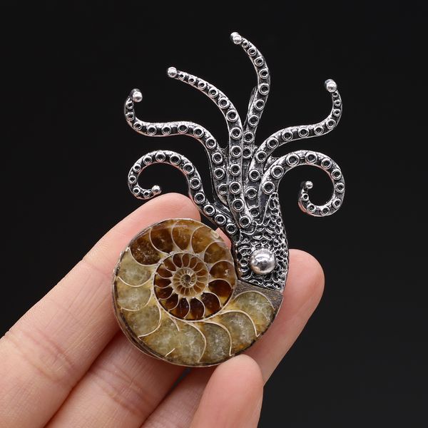 pendant necklaces natural shell mother of pearl ocs shape pendant charms for jewelry making diy necklace earrings accessories 47x67mm 230426, Silver
pendant necklaces natural shell mother of pearl ocs shape pendant charms for jewelry making diy necklace earrings accessories 47x67mm 230426, Silver