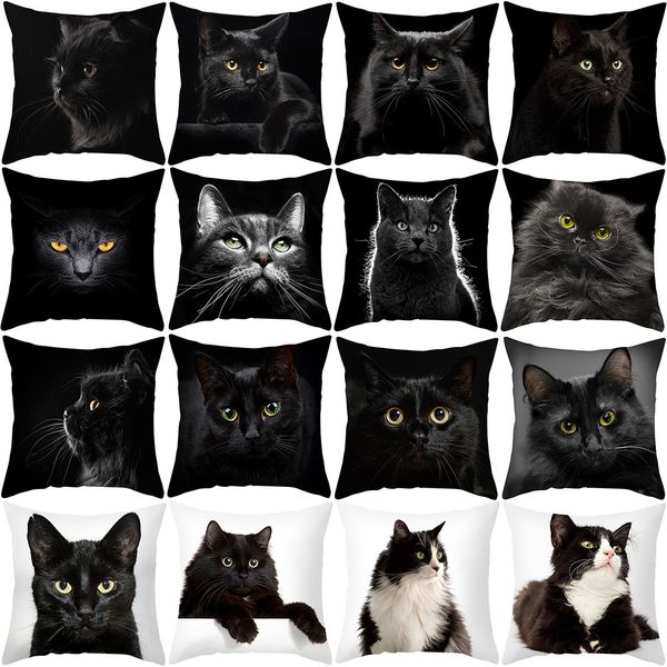 2023shopee cross-border pillowcase cartoon black cat cute animal pillowcase home pillowcase
2023shopee cross-border pillowcase cartoon black cat cute animal pillowcase home pillowcase