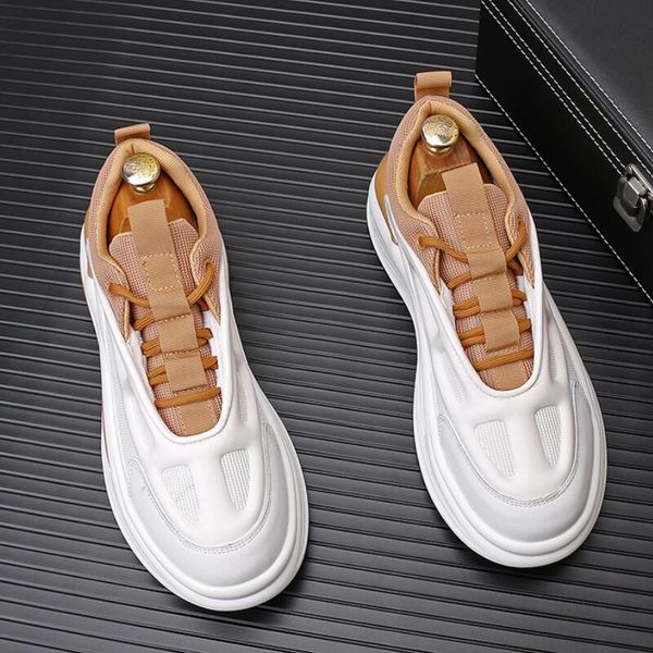 spring new breathable mesh dad shoes thick sole fashion sports casual small white tide shoes a14, Black
spring new breathable mesh dad shoes thick sole fashion sports casual small white tide shoes a14, Black