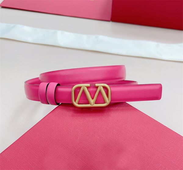 2023ladies luxury designer belt pink leather belt fashion letter belts womens waistband 2.0cm width girdle pink buckle high quality, Black;brown
2023ladies luxury designer belt pink leather belt fashion letter belts womens waistband 2.0cm width girdle pink buckle high quality, Black;brown