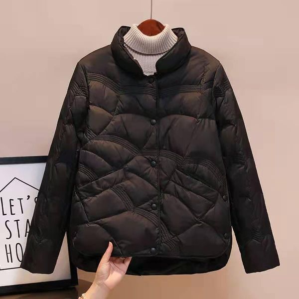 leather light down cotton padded clothes women's short style autumn and winter 2022 new fashion small women's stand collar short c, Black
leather light down cotton padded clothes women's short style autumn and winter 2022 new fashion small women's stand collar short c, Black