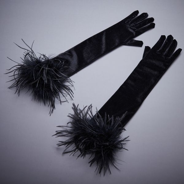 five fingers gloves women' elegant ostrich feather patchwork long velvet glove female spring summer vintage sunscreen driving pograph, Blue;gray
five fingers gloves women' elegant ostrich feather patchwork long velvet glove female spring summer vintage sunscreen driving pograph, Blue;gray